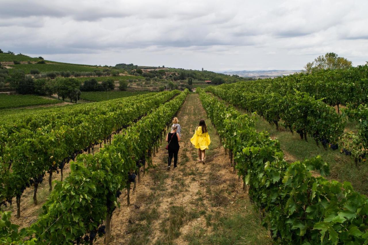 Wine Estate Rooms Paradiso Di Cacuci Монтальчино Экстерьер фото